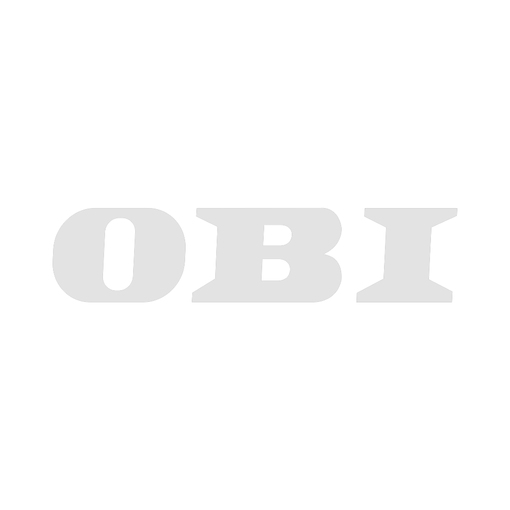 Logo Obi